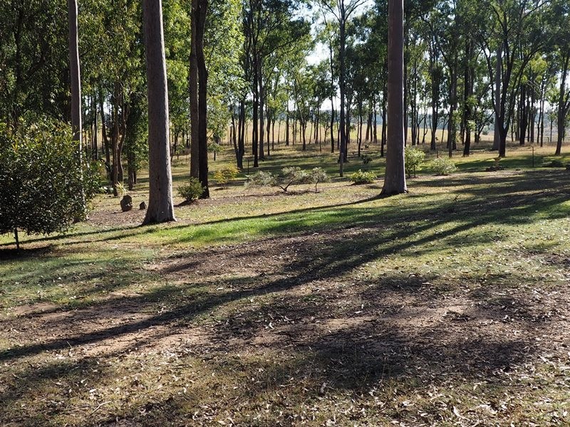 Image 15