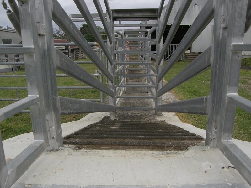 Image 13