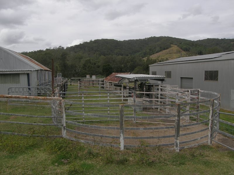 Image 14