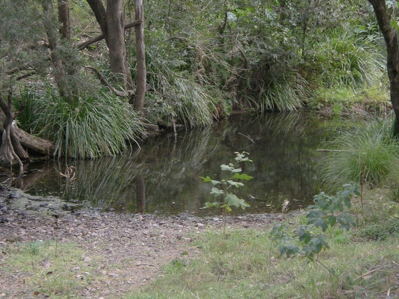 Image 19