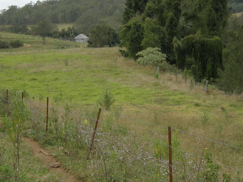 Image 20