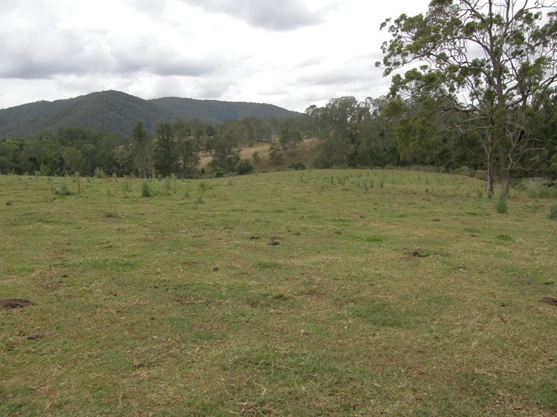 Image 21