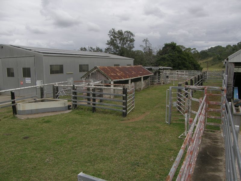 Image 11