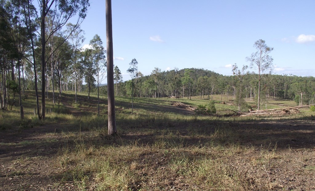 Image 12