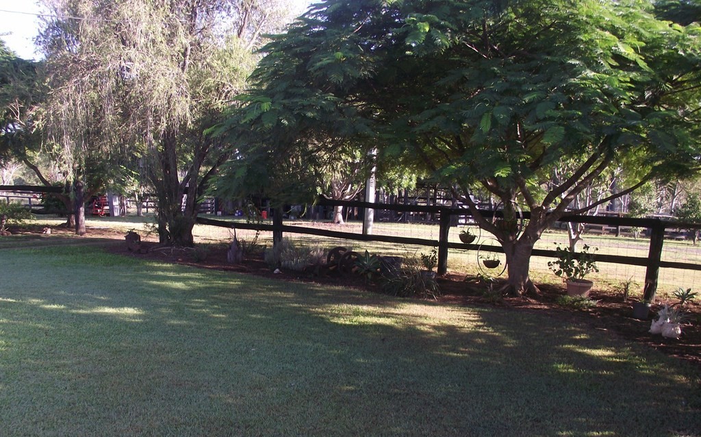 Image 15