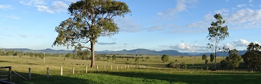 Image 16