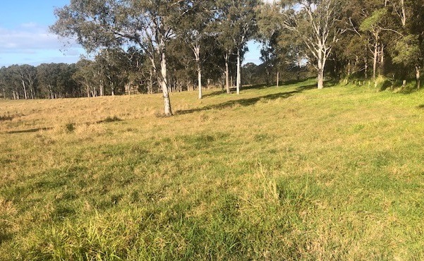 Image 8