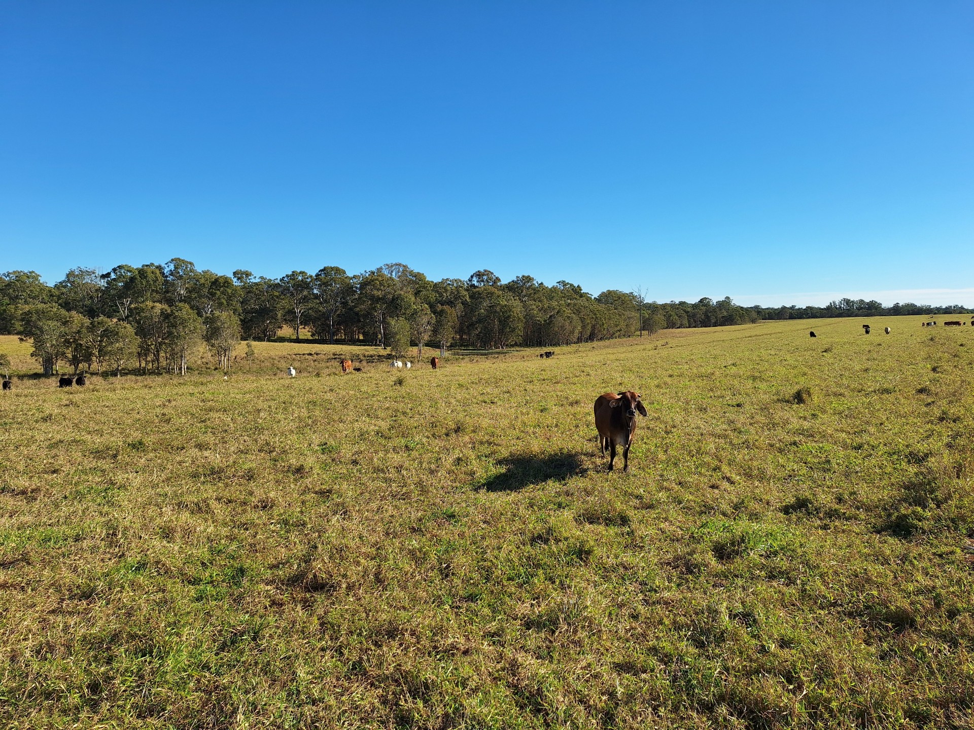 Image 12