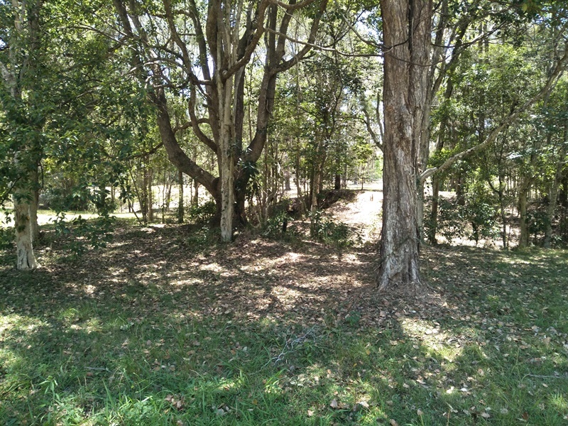 Image 11