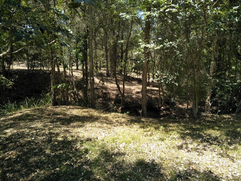 Image 12