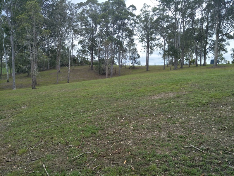 Image 13