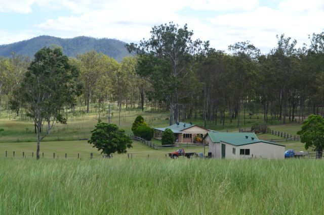 Image 14