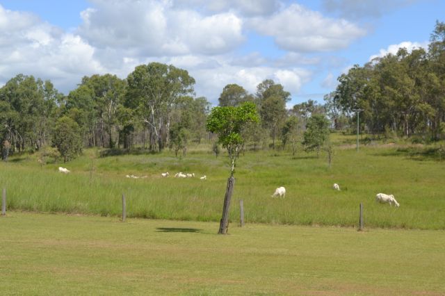 Image 20
