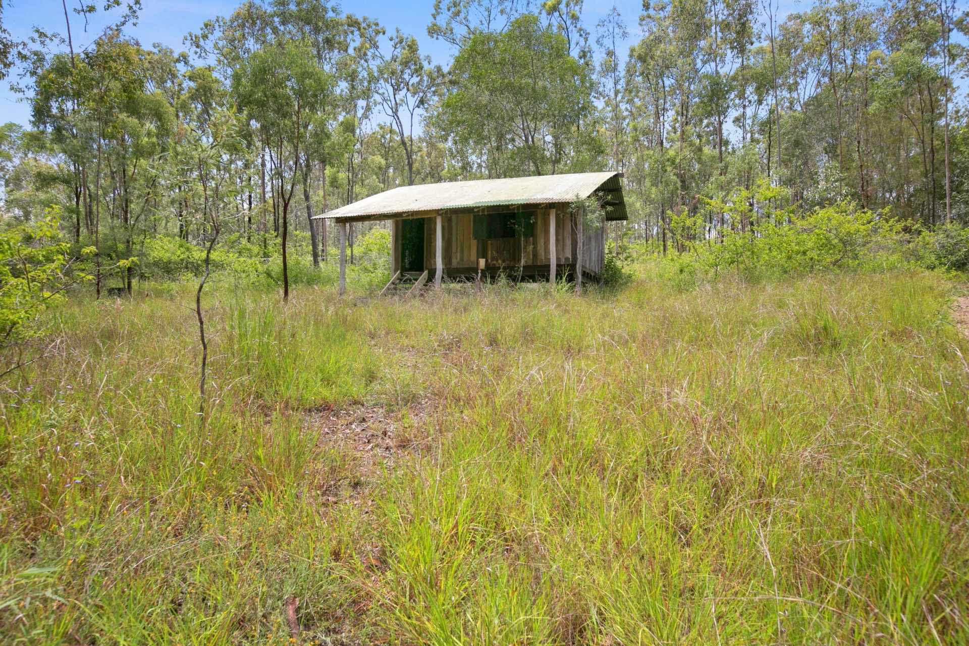 Image 12