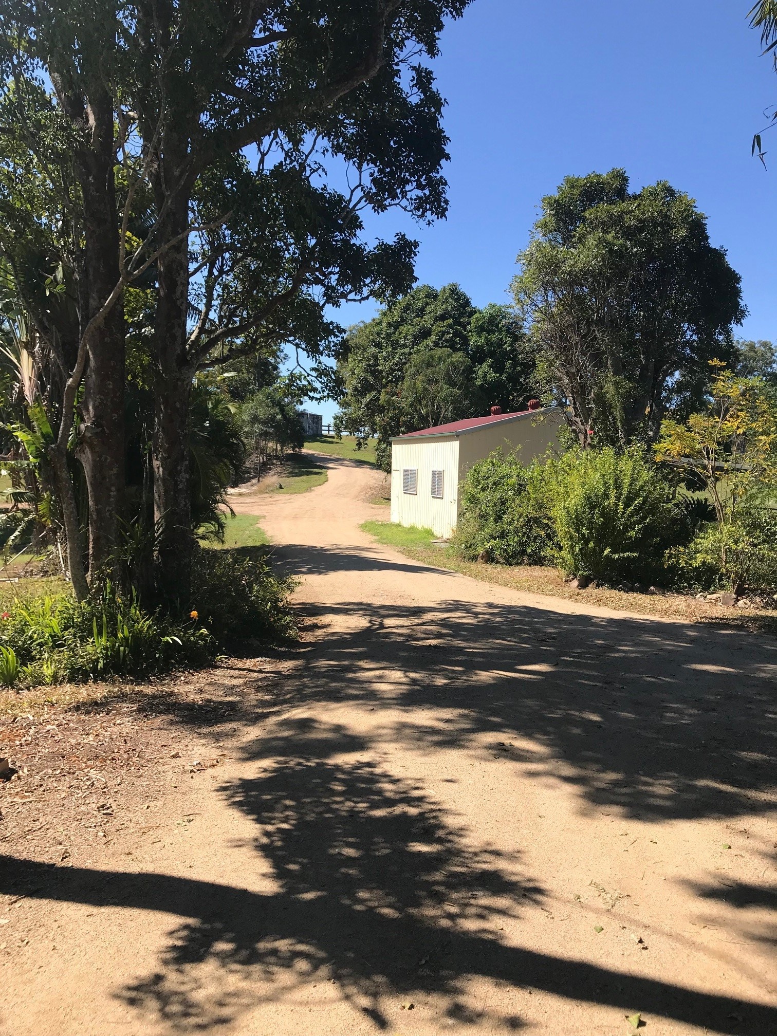 Image 19