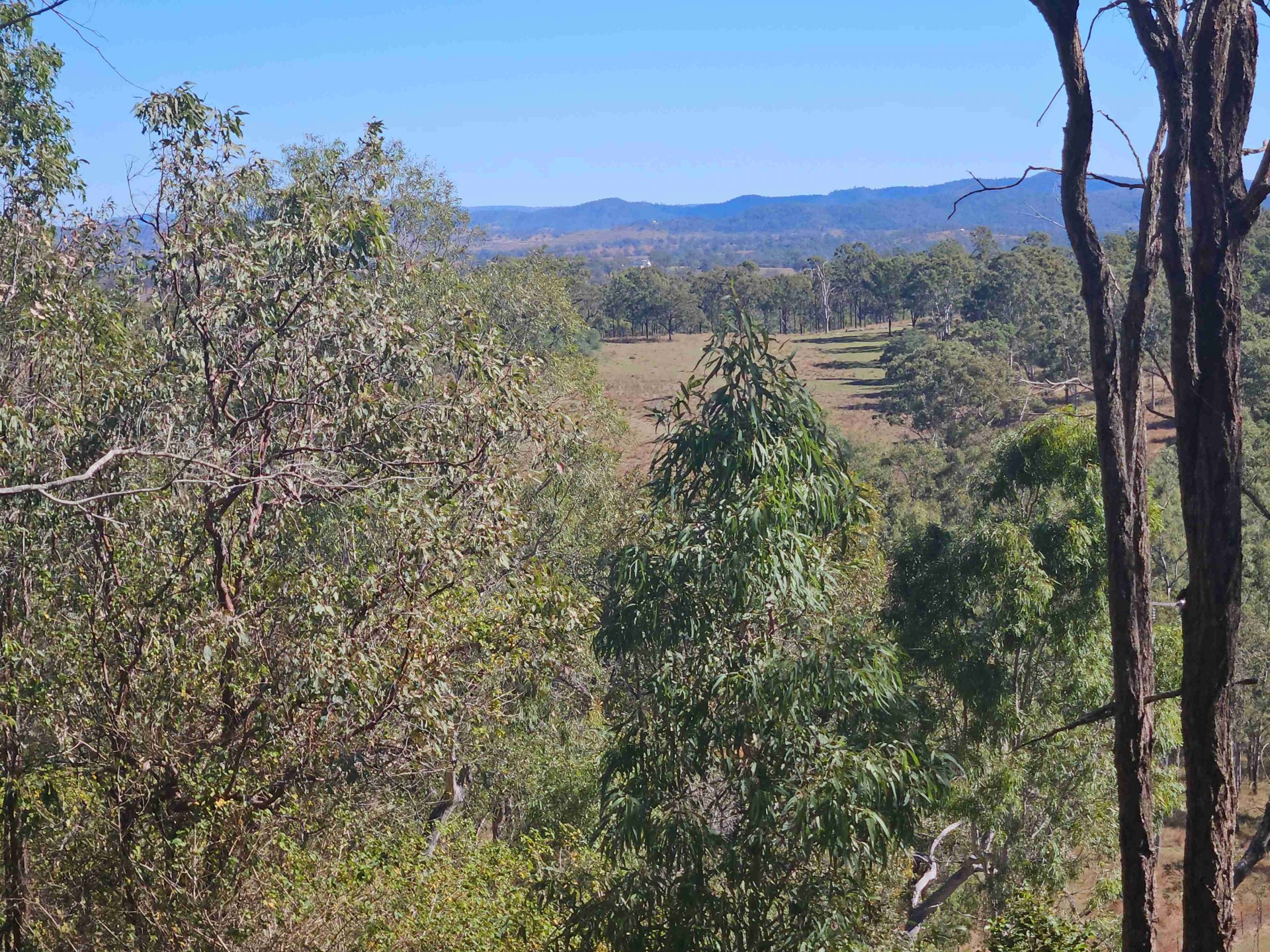 Image 12
