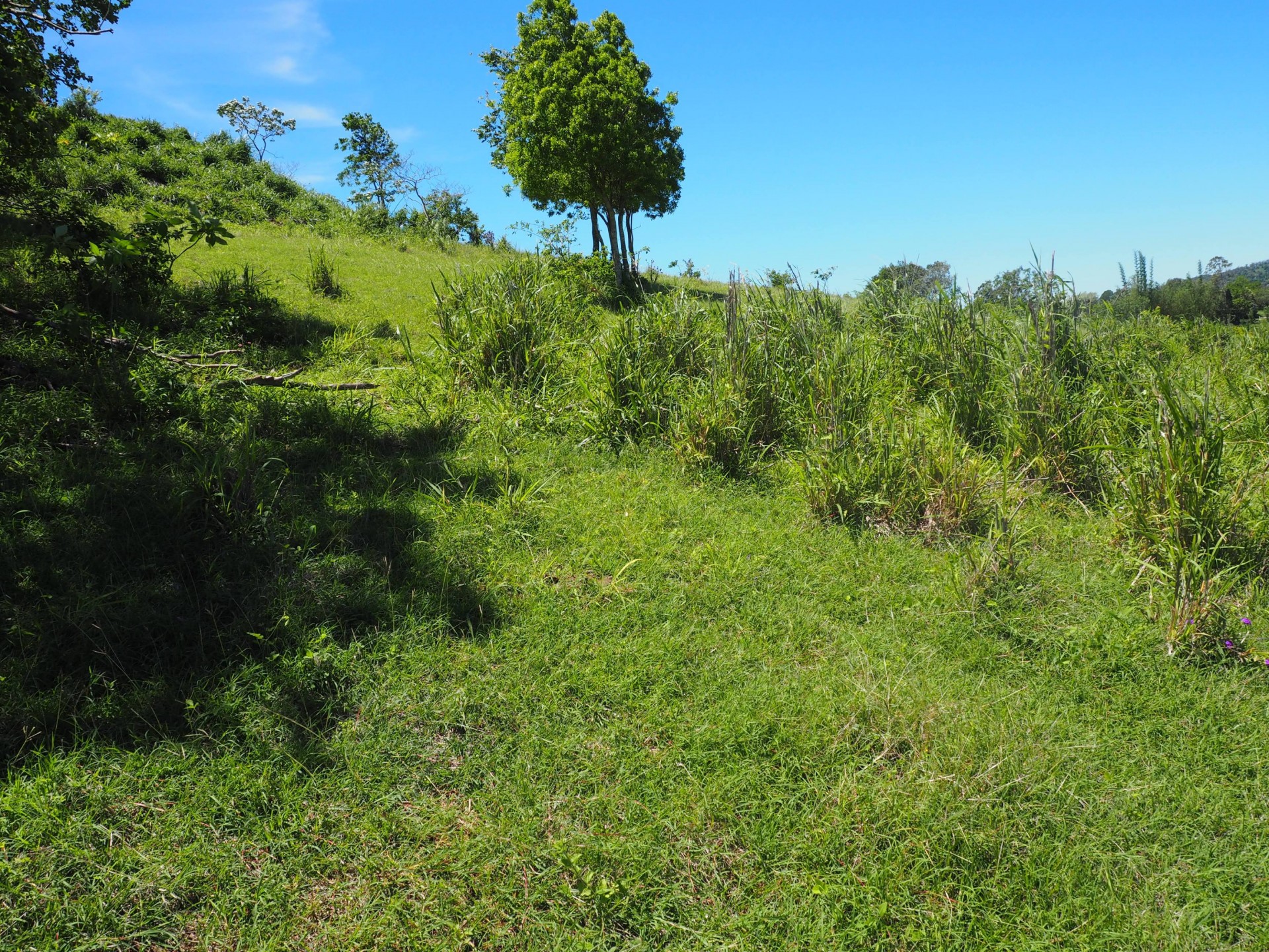 Image 12