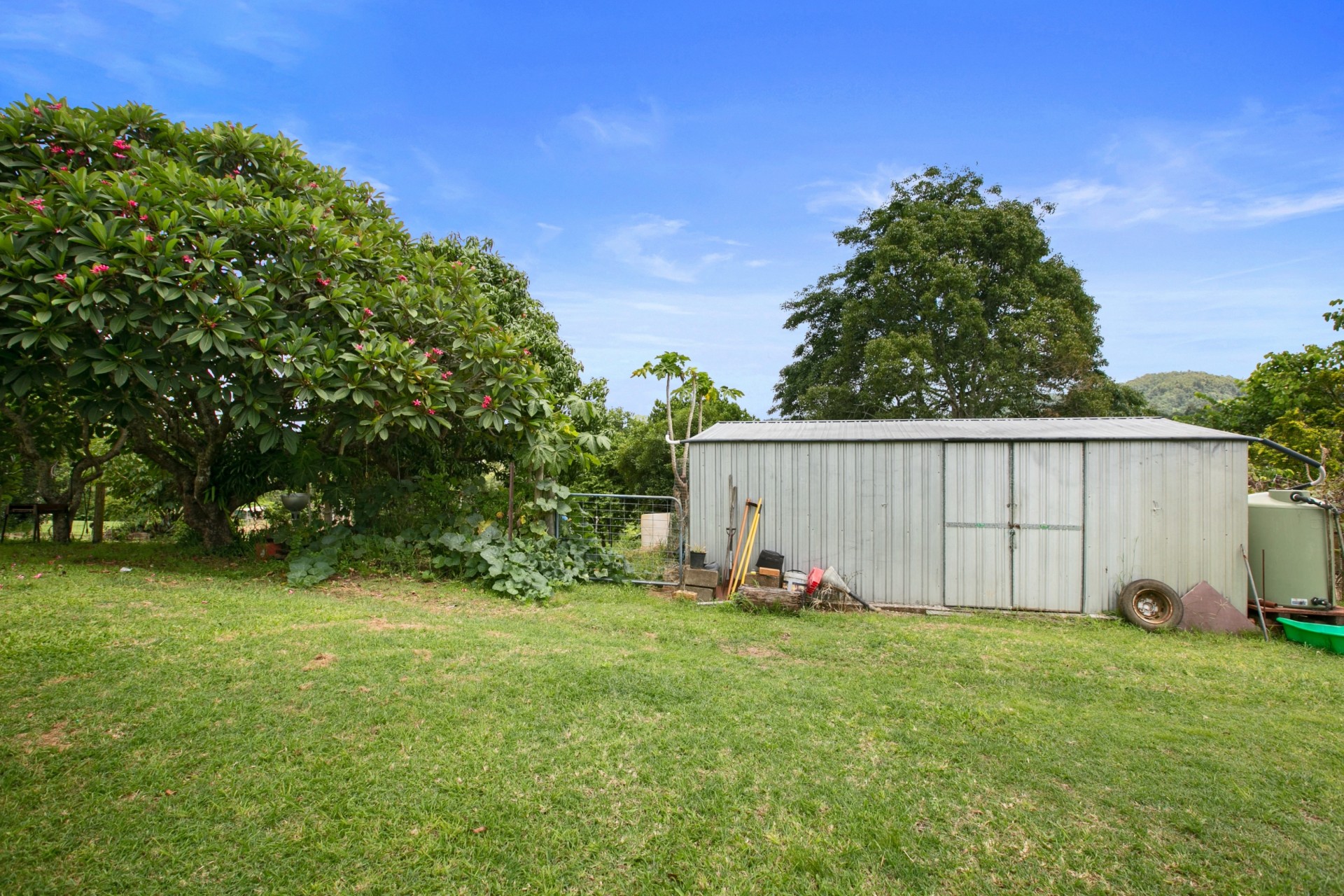 Image 10
