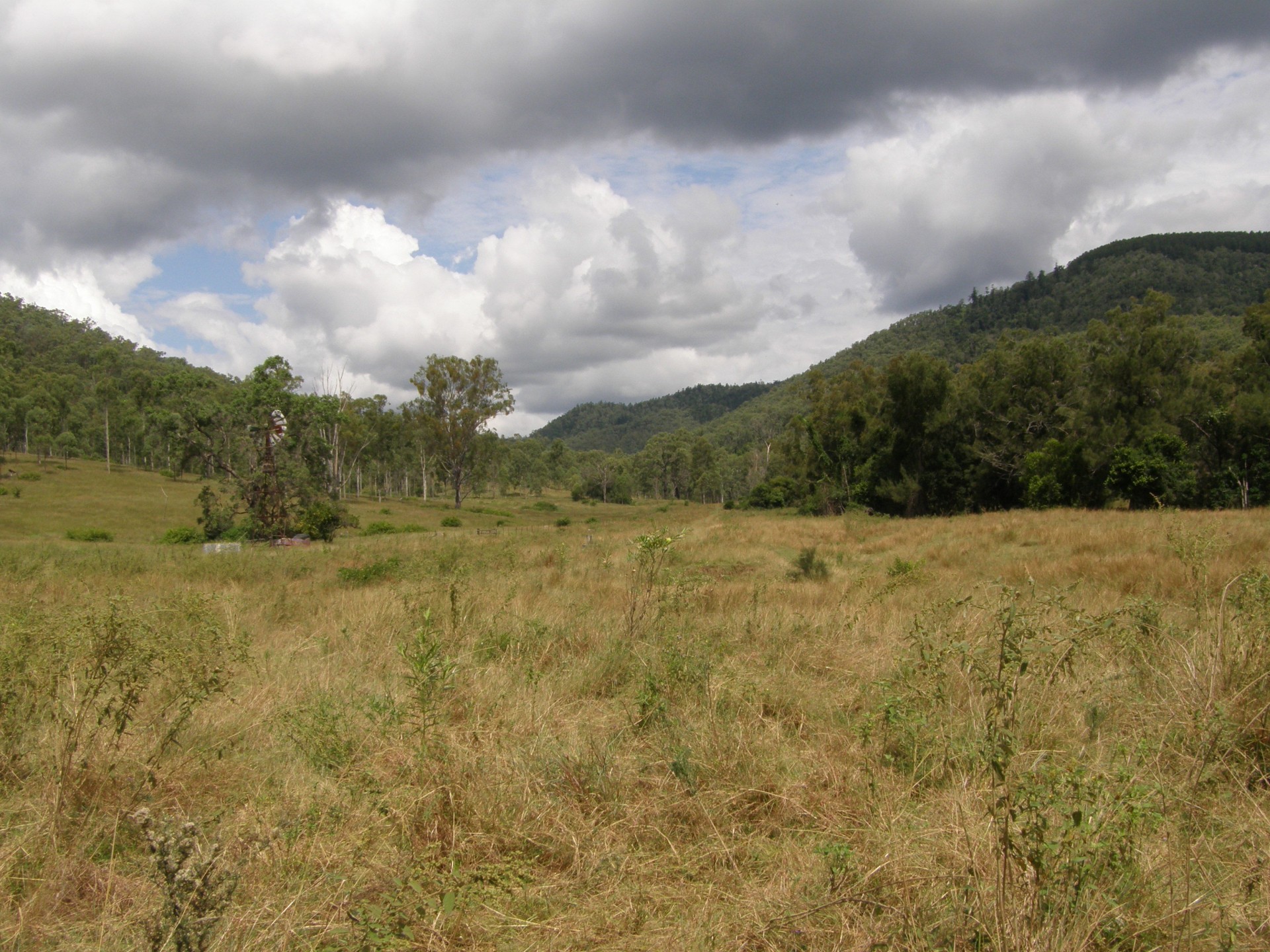 Image 11