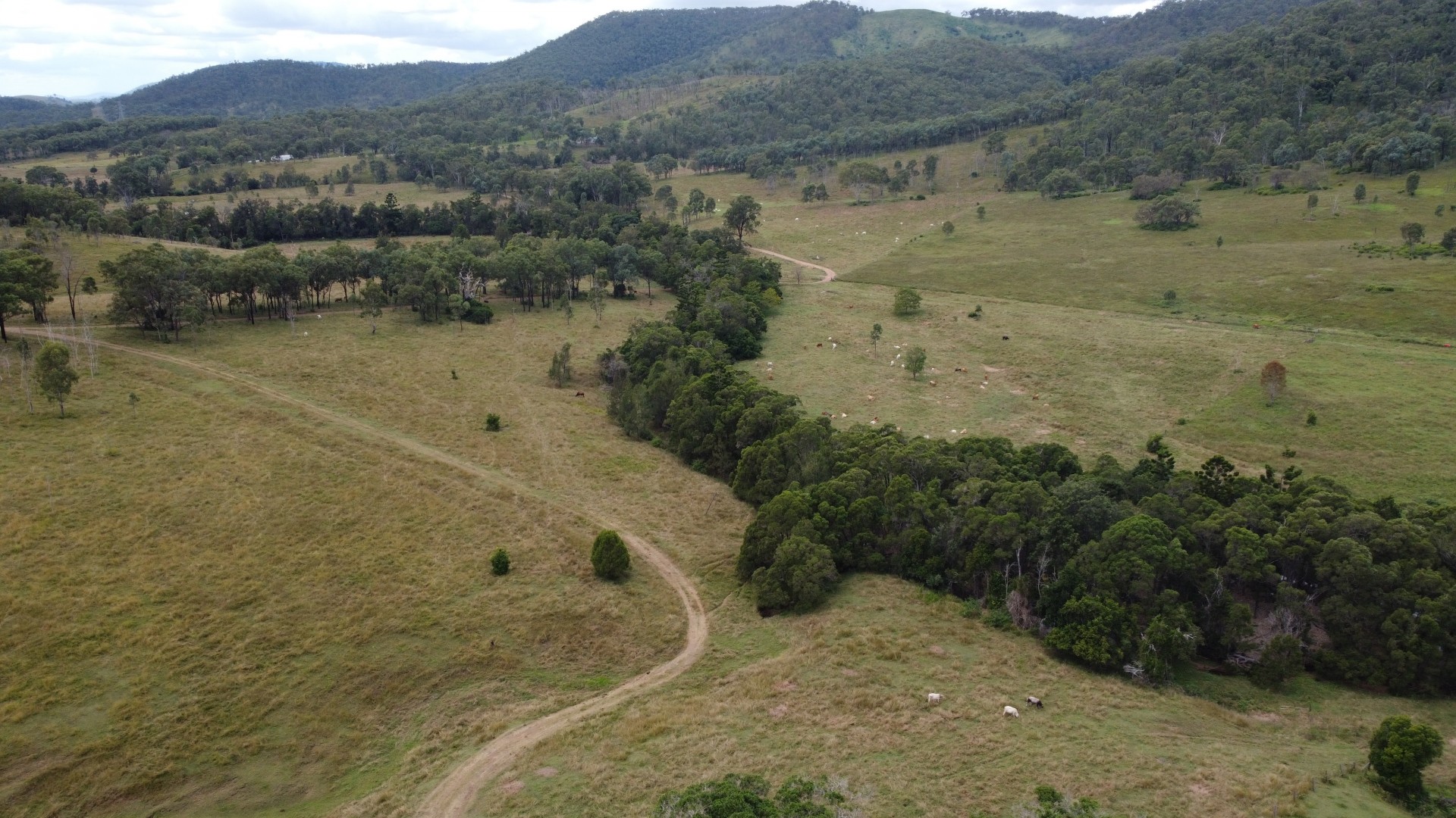 Image 13