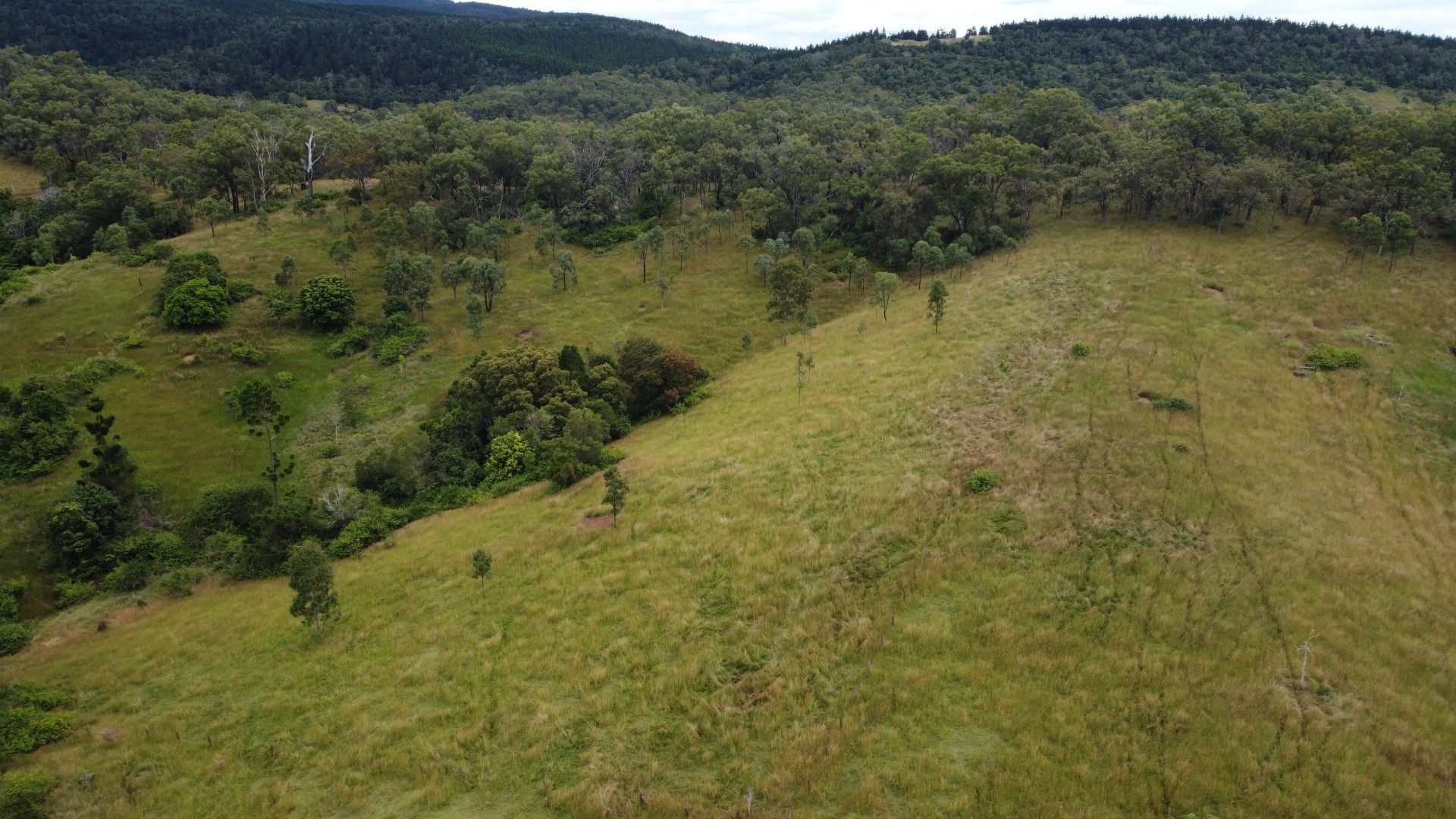 Image 14