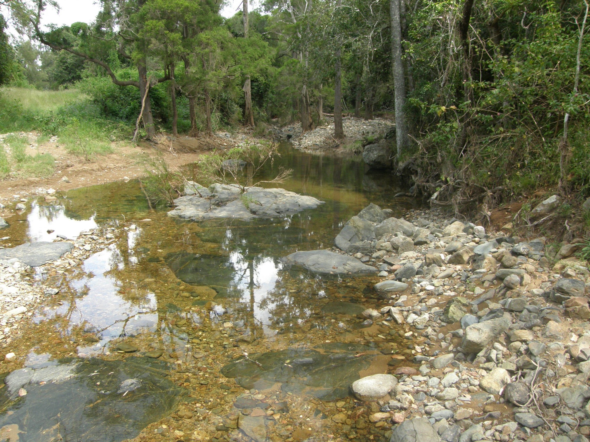 Image 8