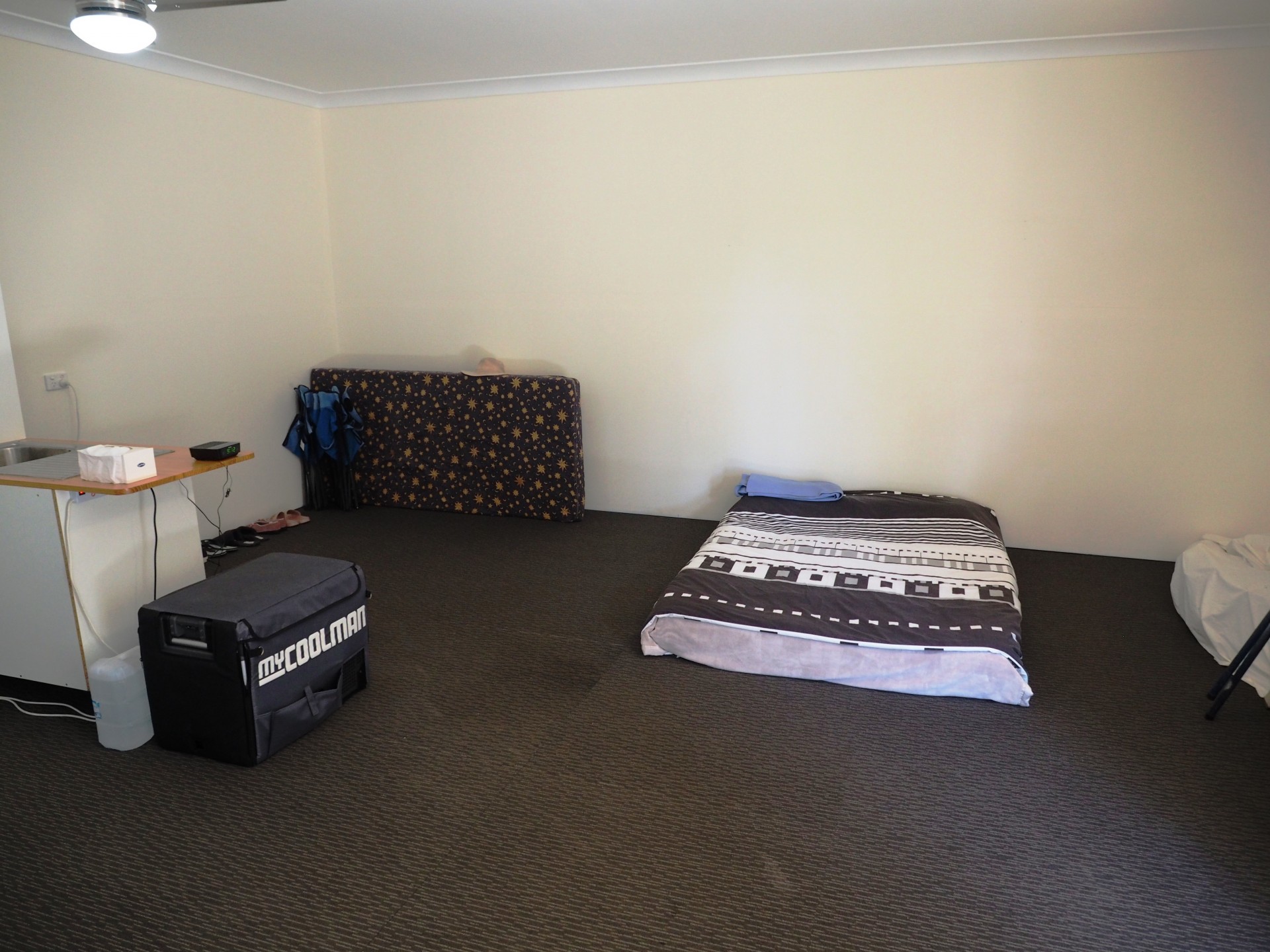 Image 12