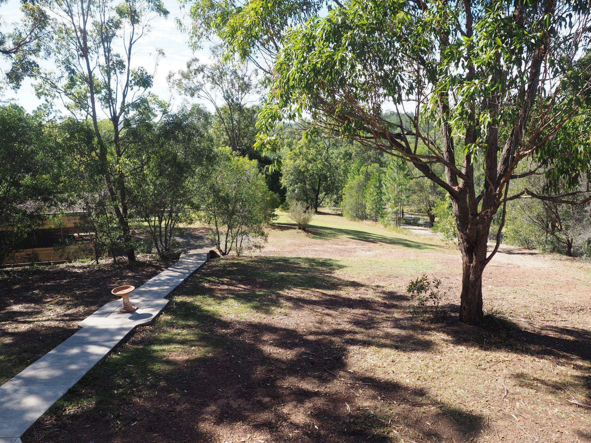 Image 14