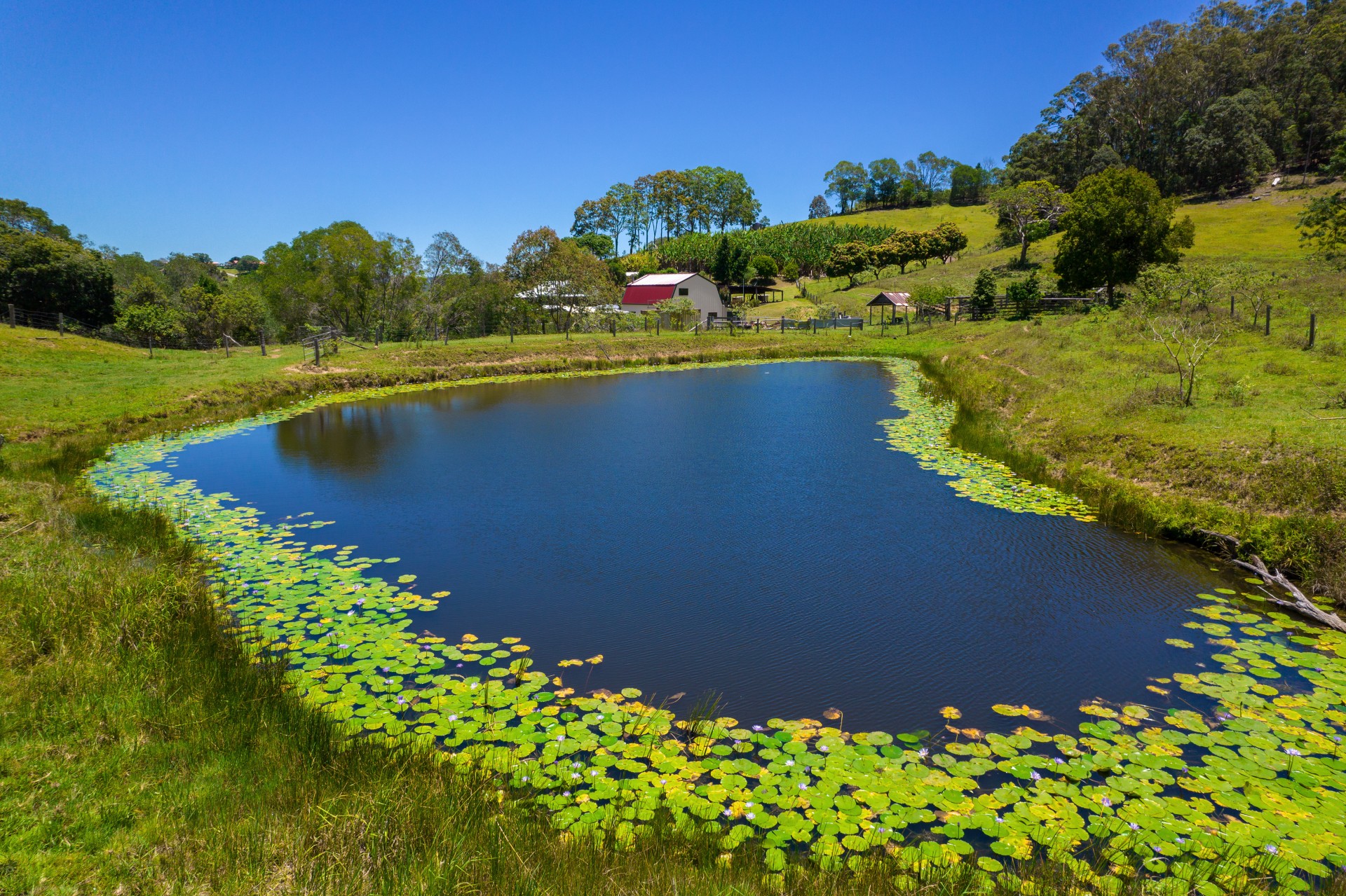 206-treeby-road-wilsons-pocket-tom-grady-real-estate