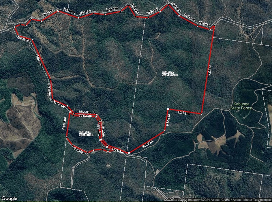 Image 6