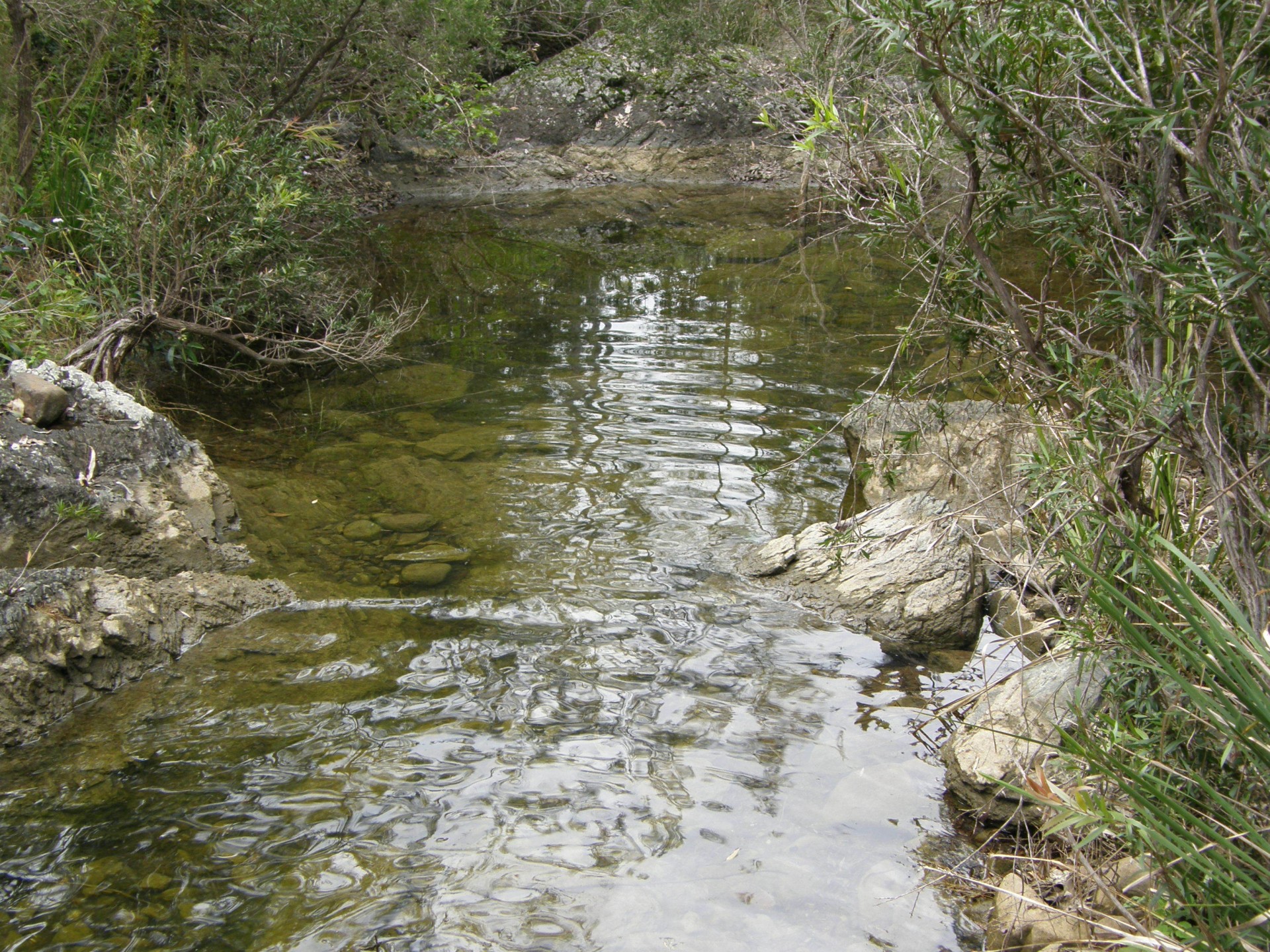 Image 10