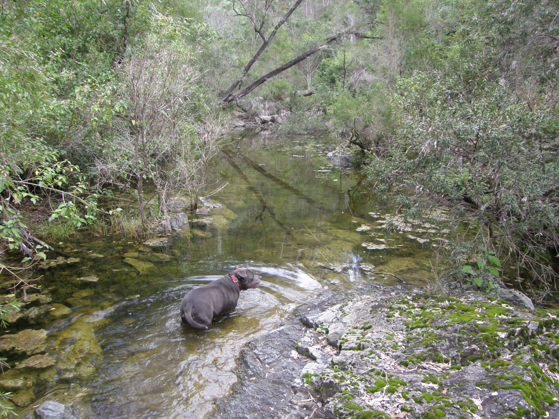 Image 11