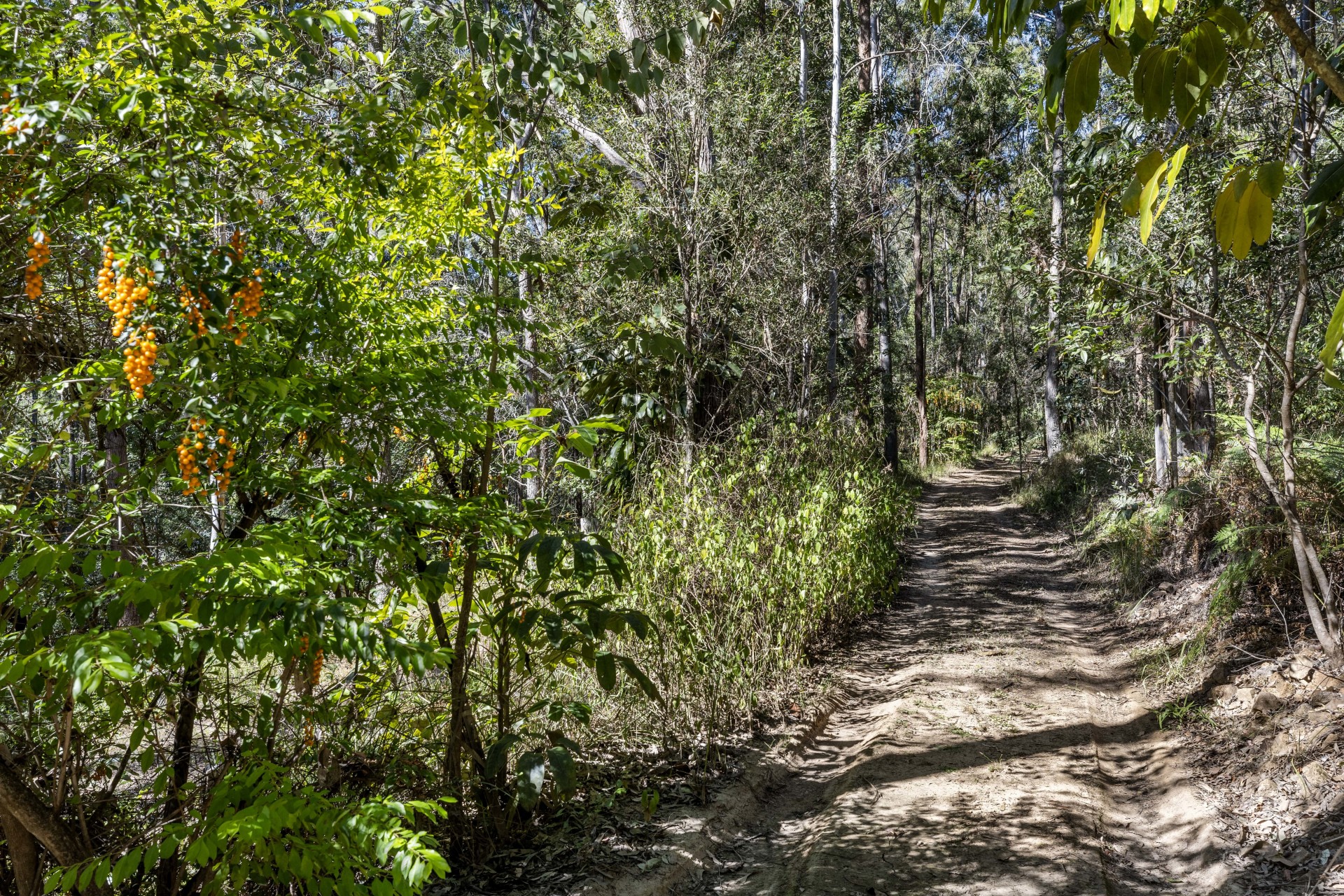 Image 11