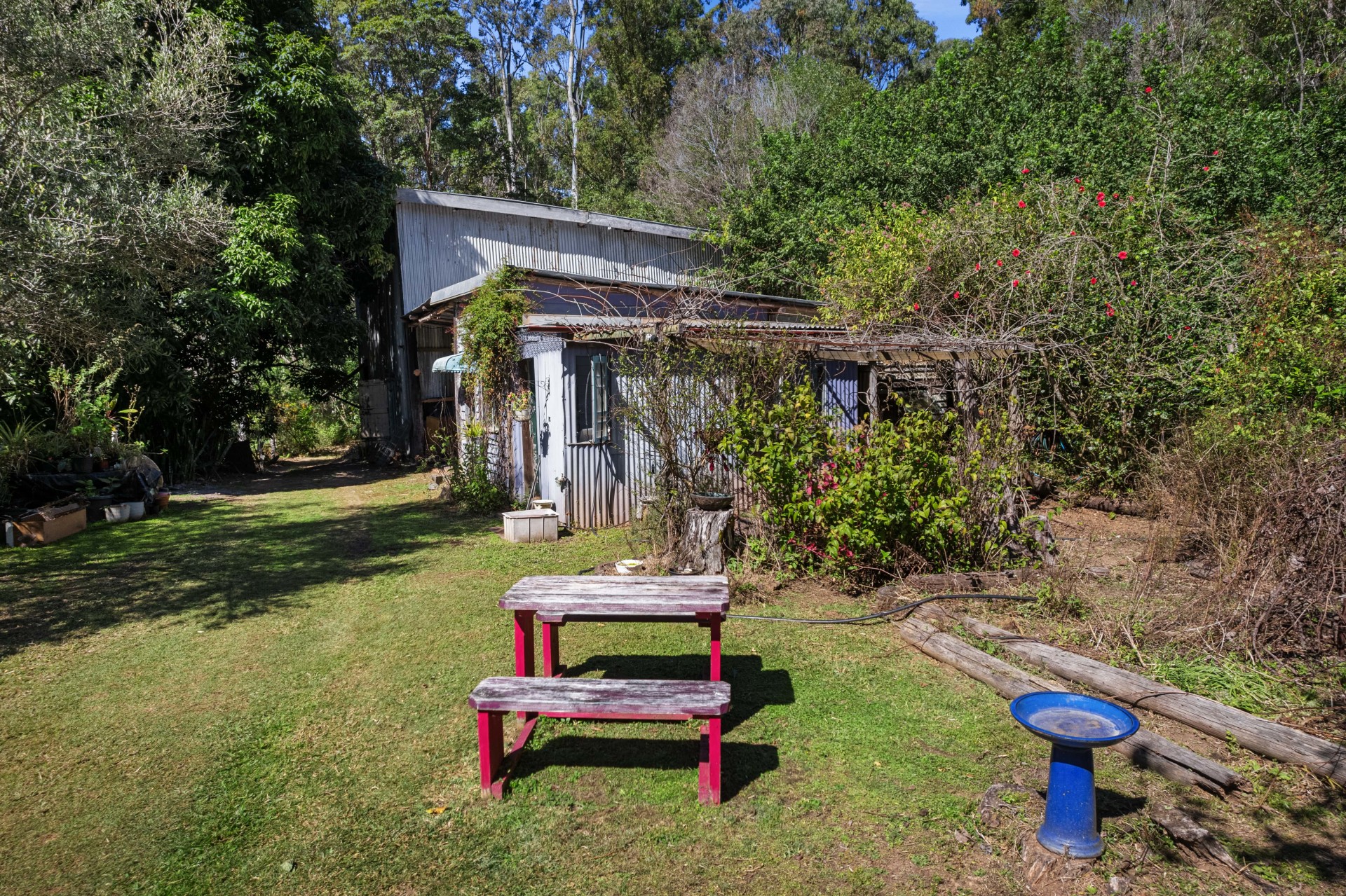 Image 15