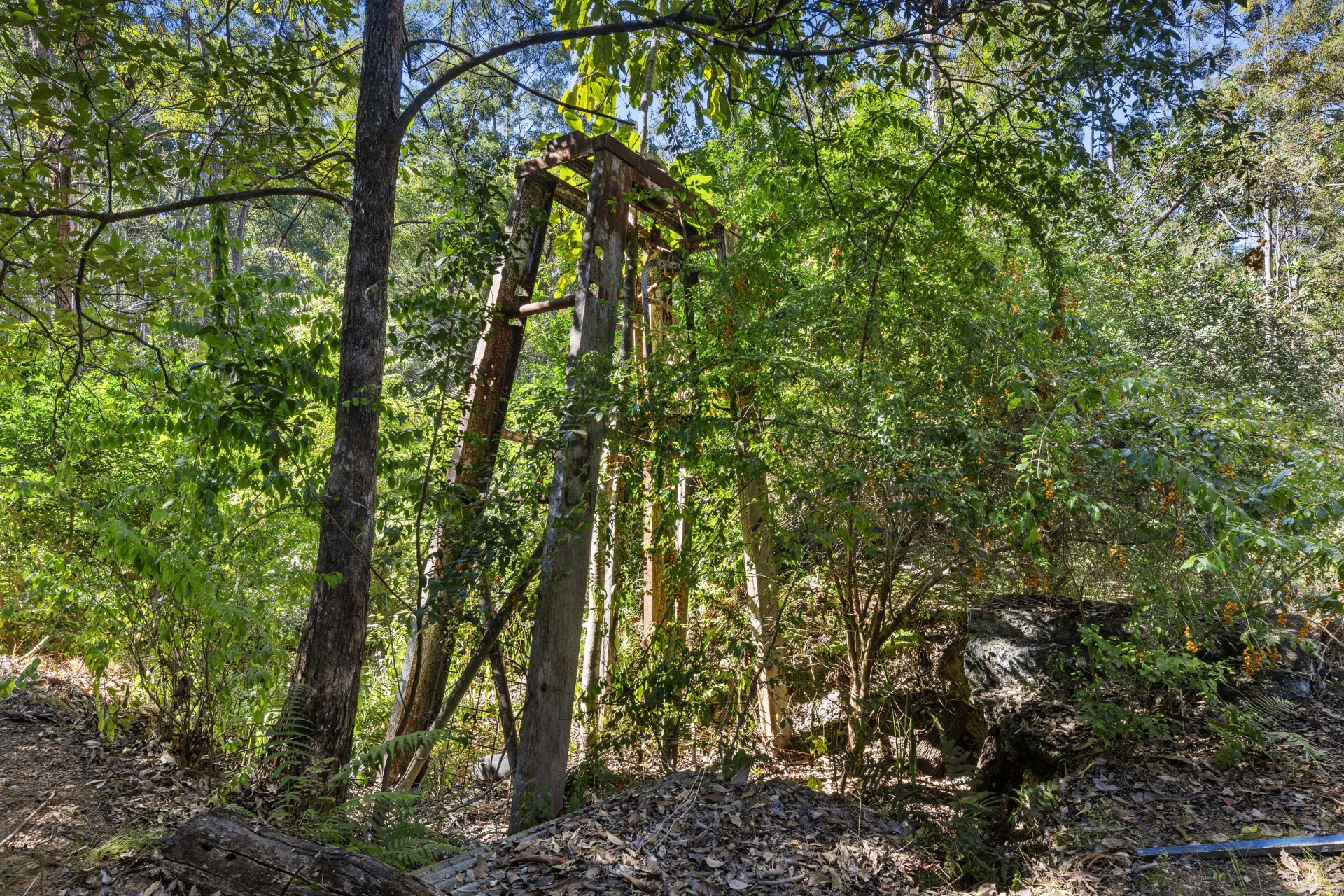 Image 10
