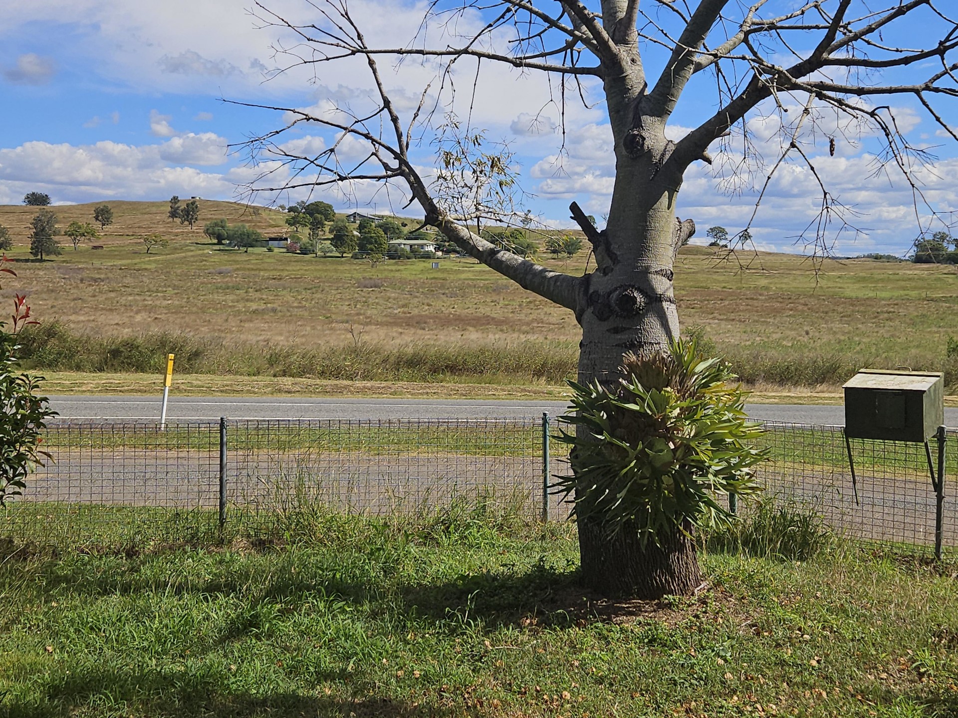 Image 11