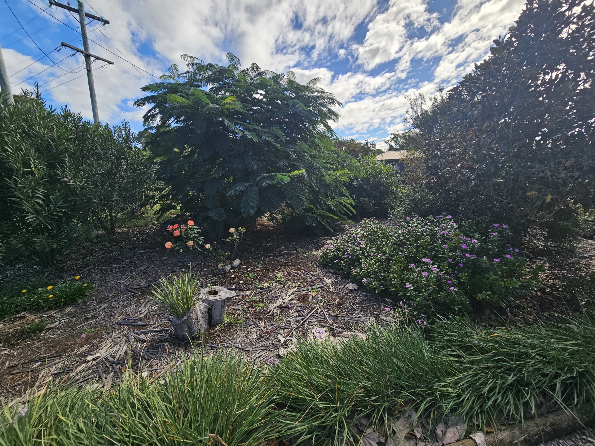 Image 16