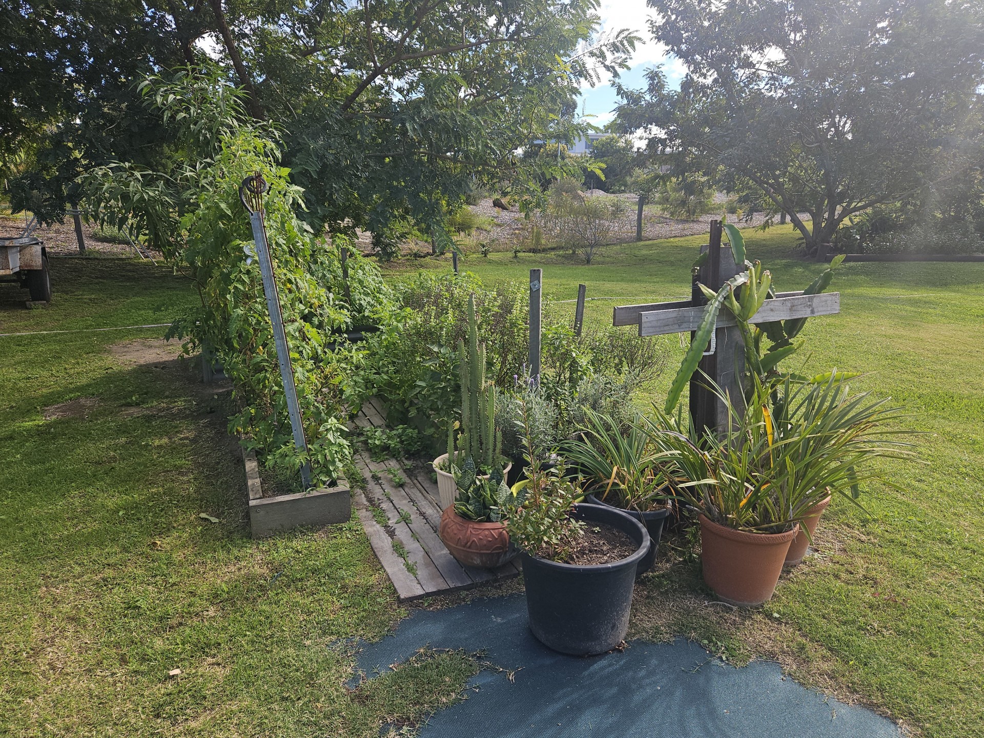 Image 13