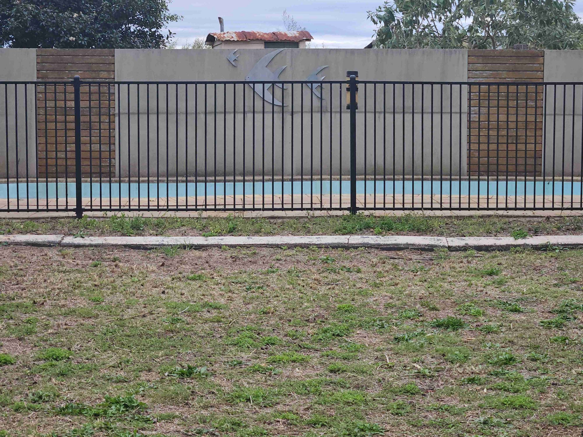Image 19