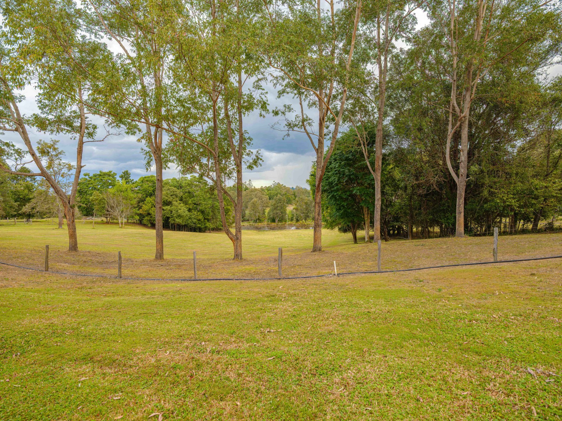Image 25