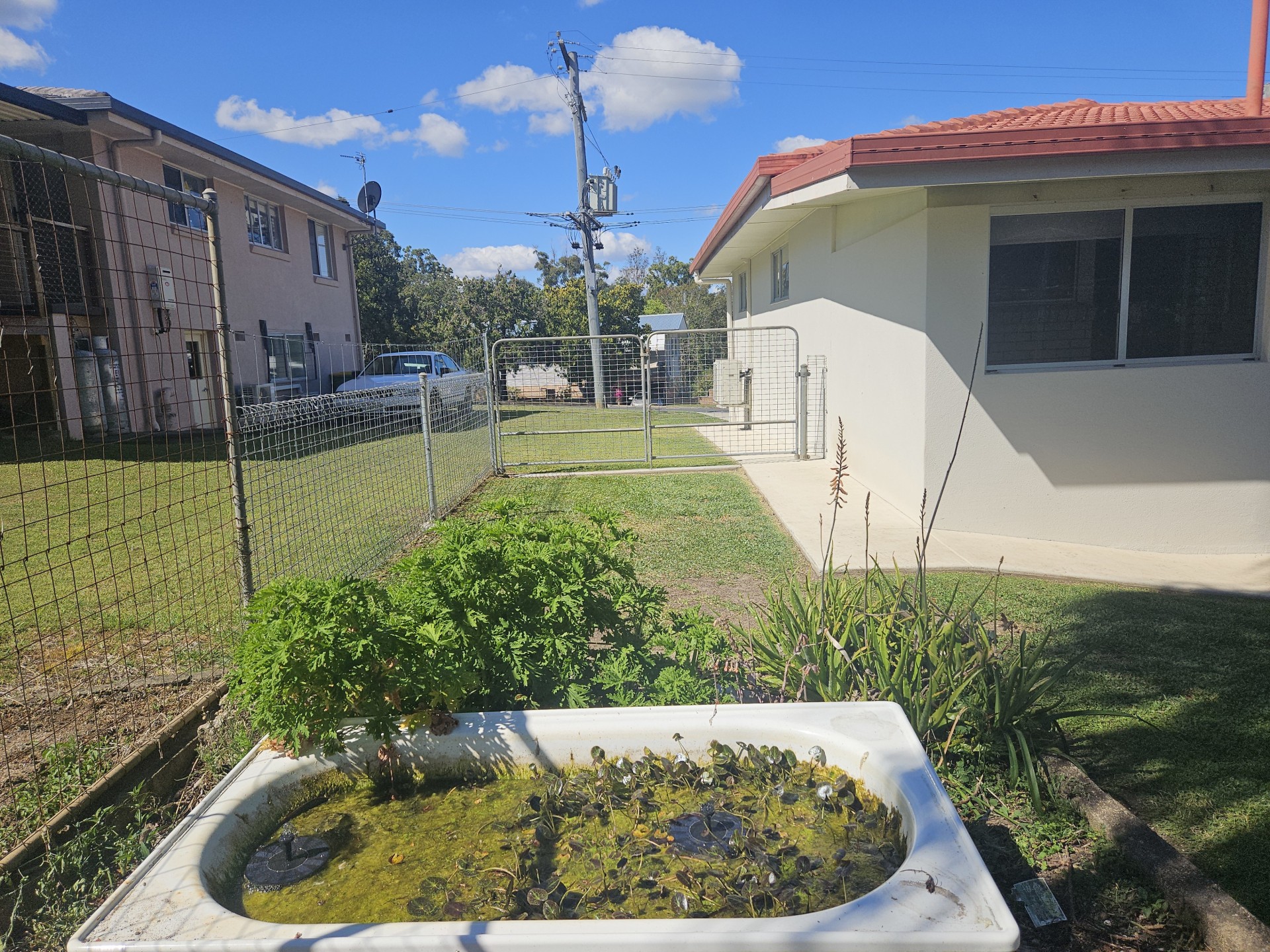 Image 14