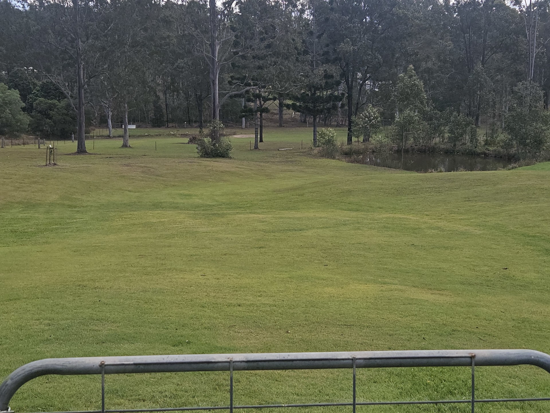 Image 11