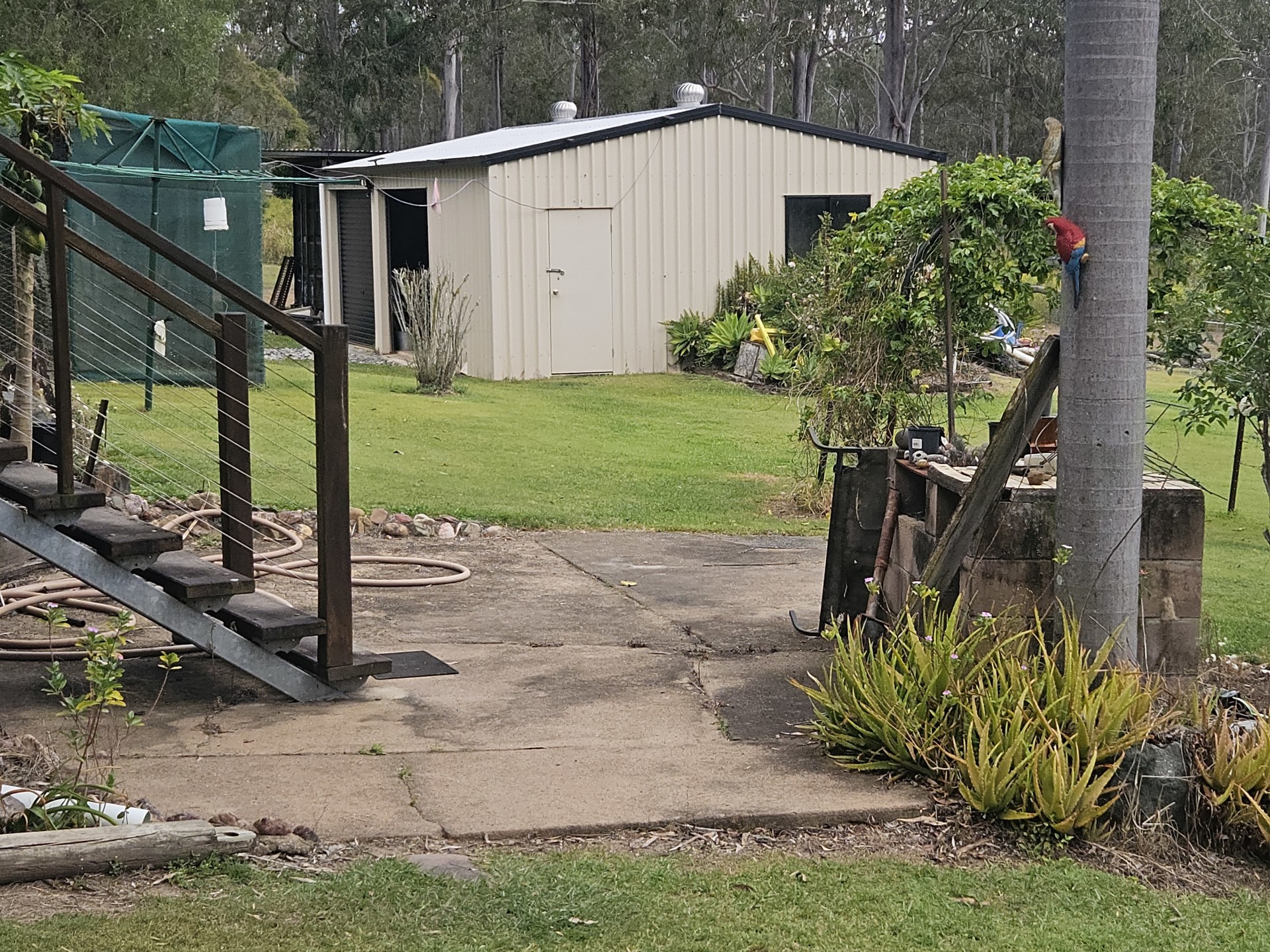 Image 6