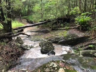 Image 21