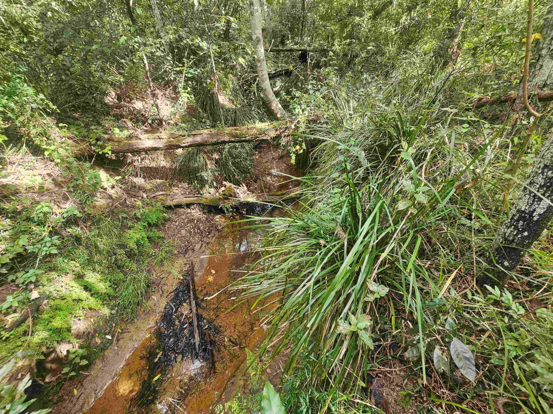 Image 9