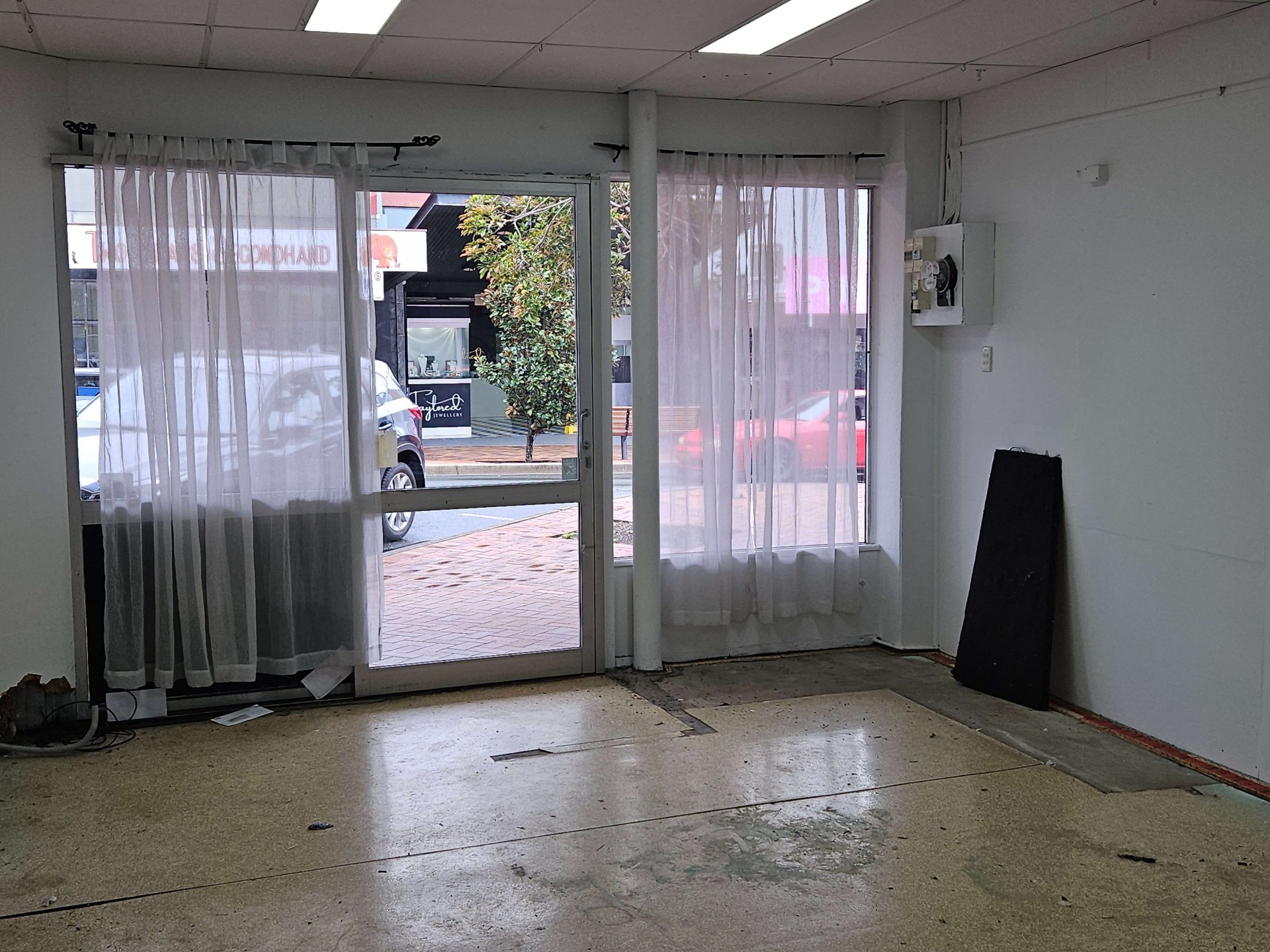 Image 7