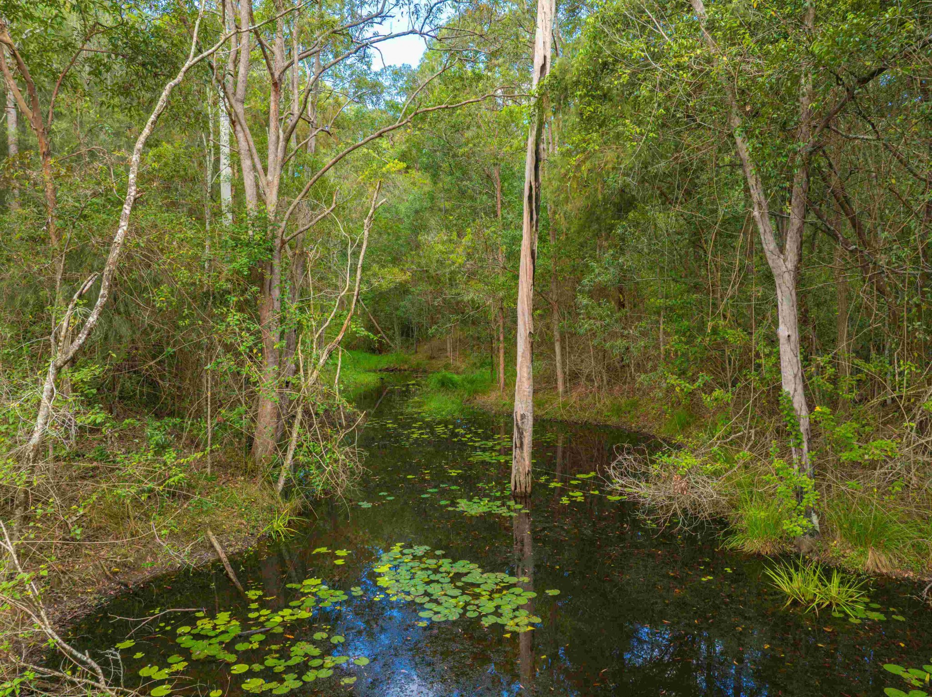 Image 19