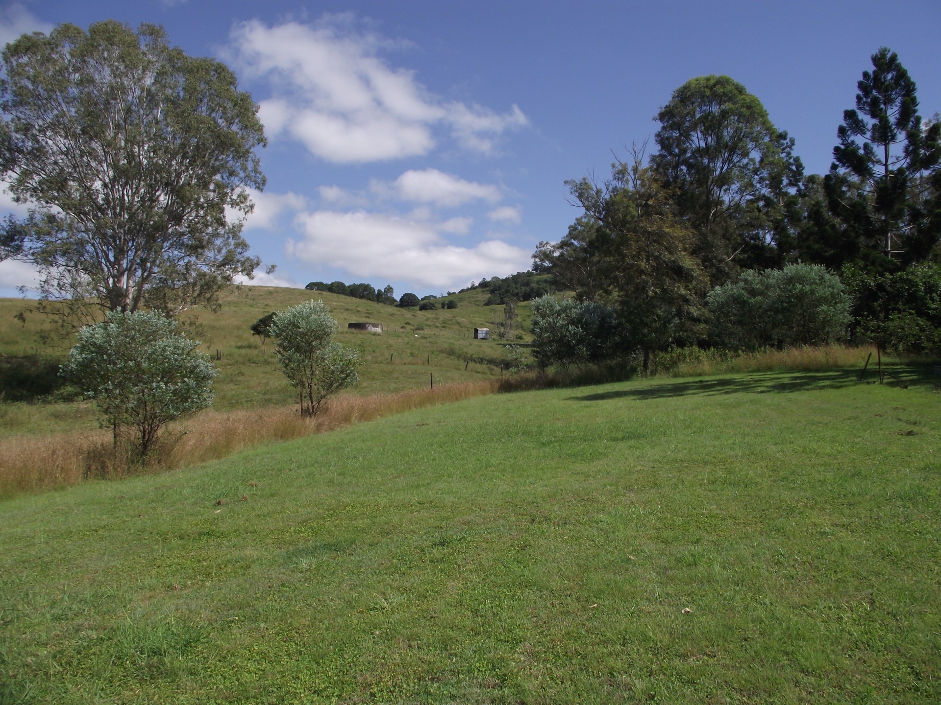 Image 16