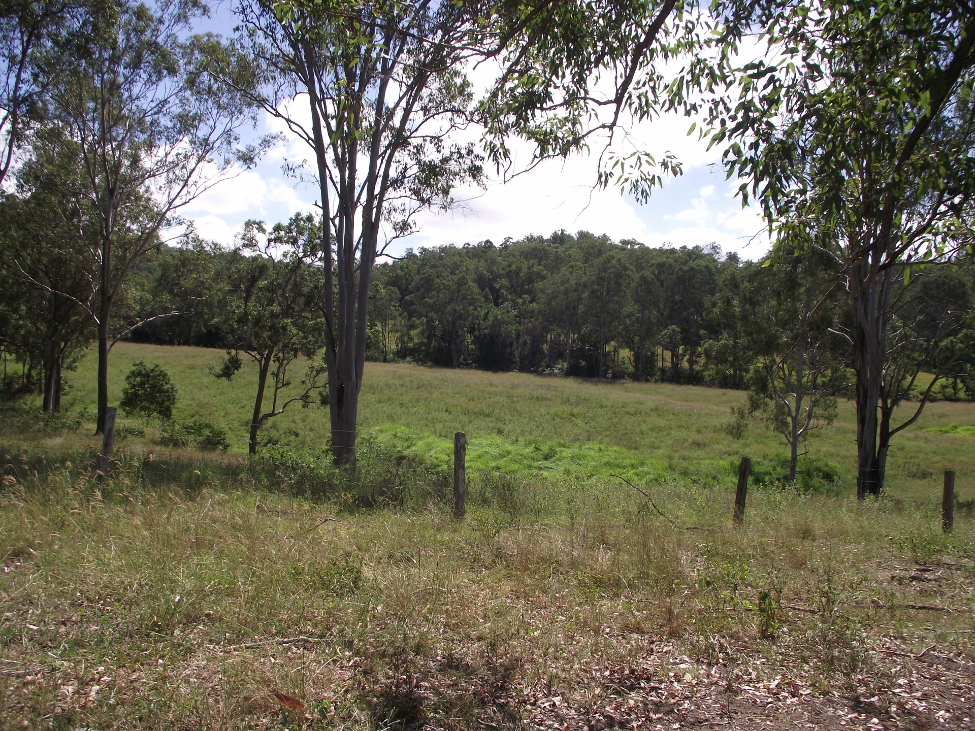 Image 17