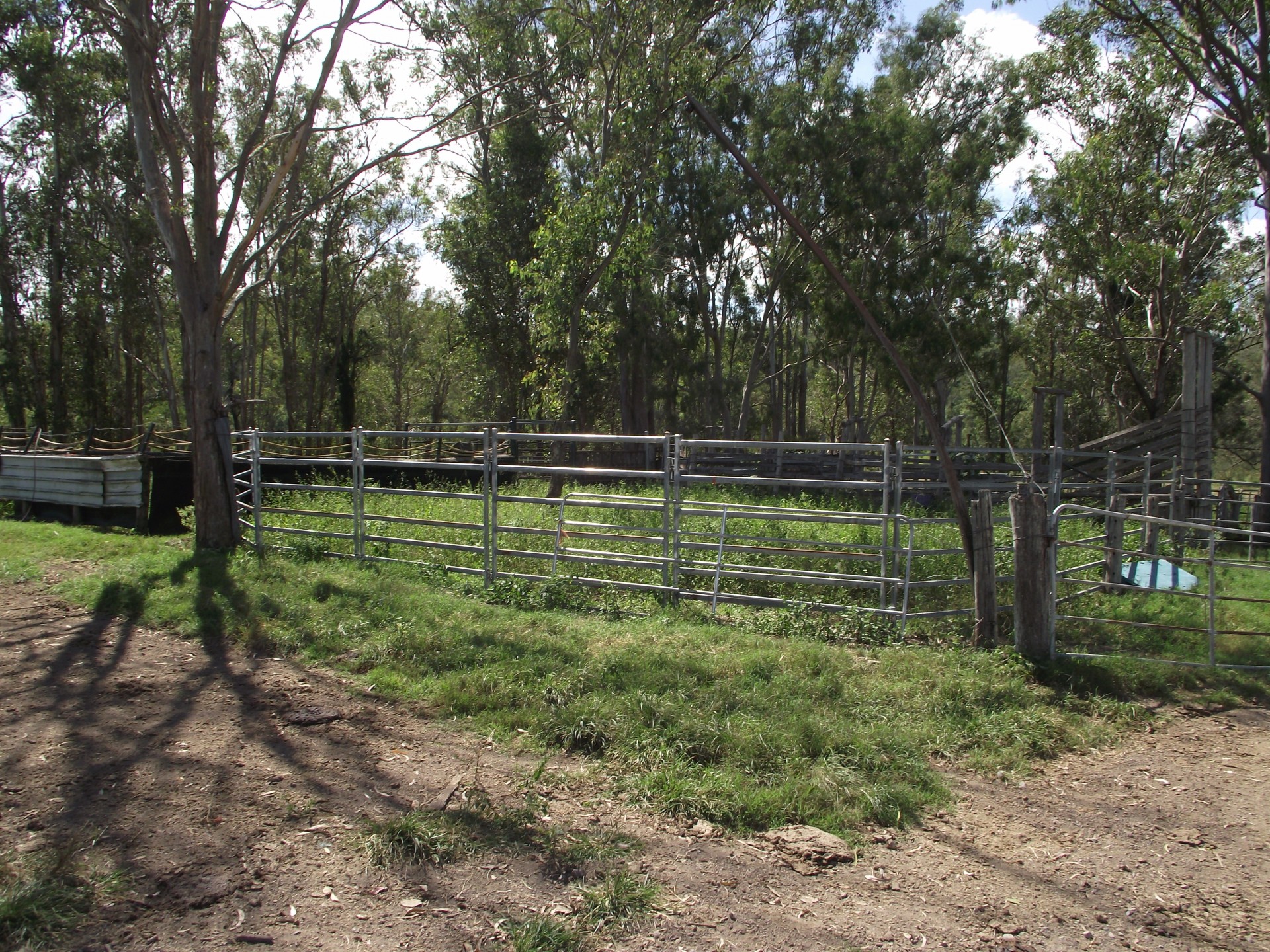 Image 19